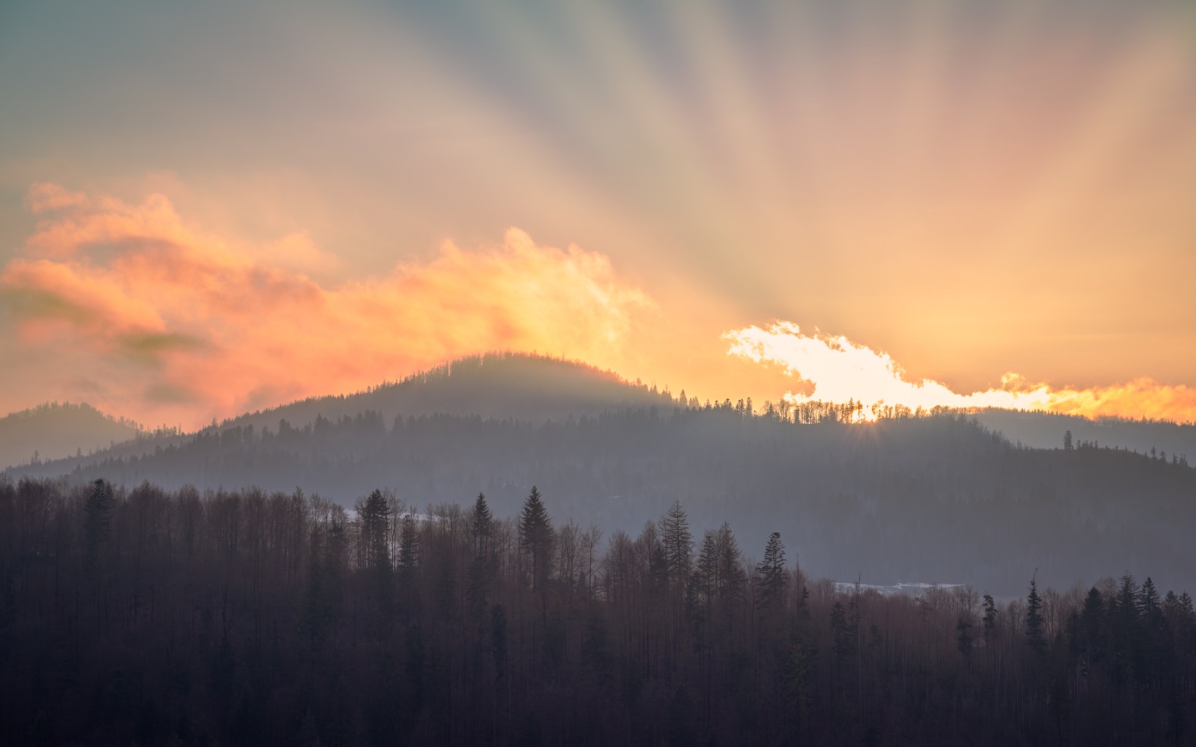 Sunset over a misty mountain forest with golden clouds