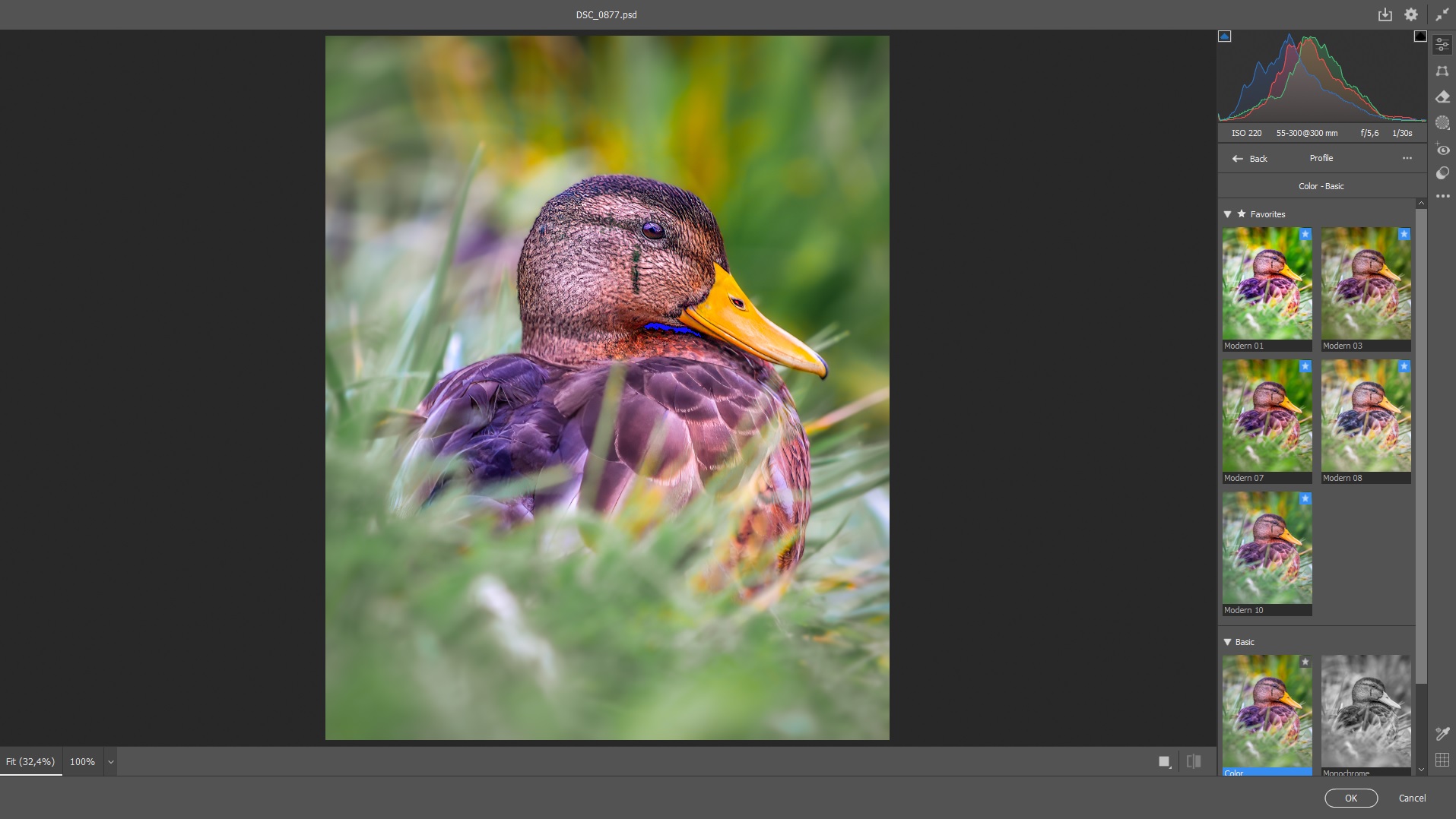 Camera Raw profile settings applied to a wildlife photo of a duck