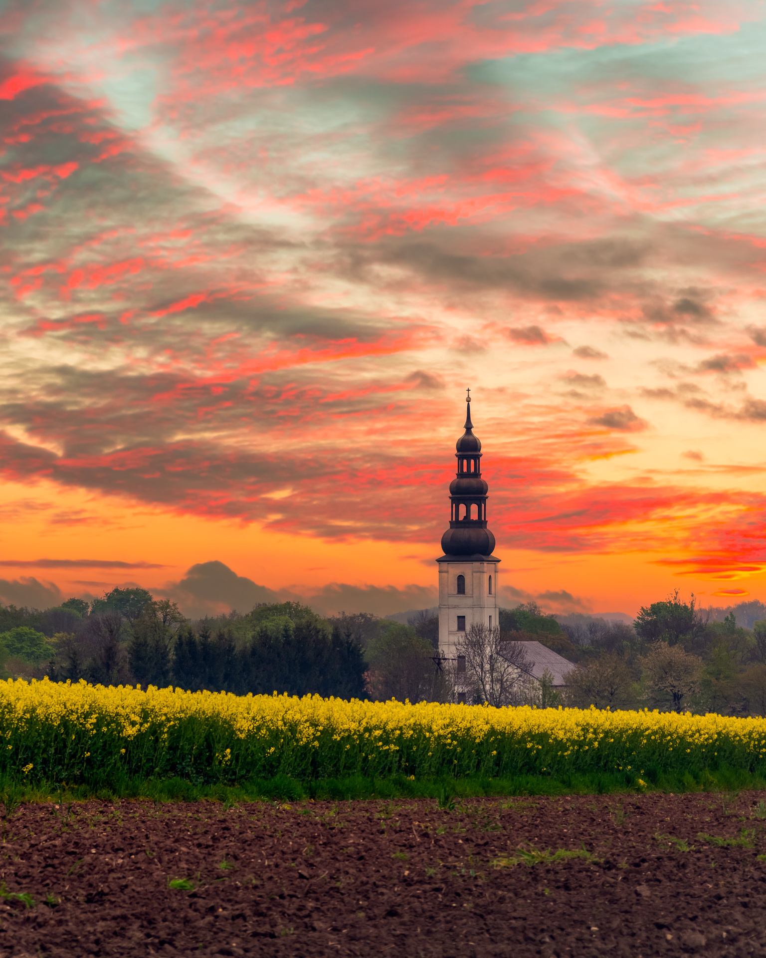 Church tower framed by blooming rapeseed fields at sunset in the Polish countryside, with dramatic clouds in the sky