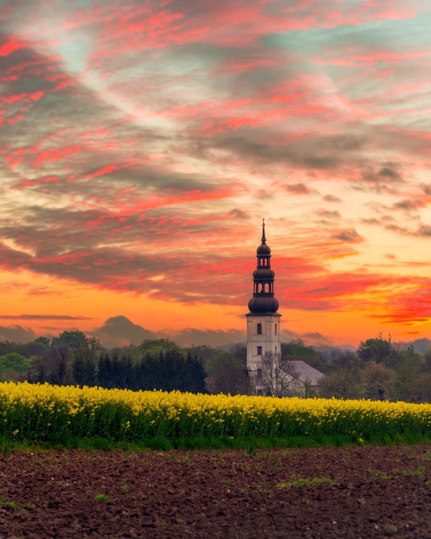 Church tower framed by blooming rapeseed fields at sunset in the Polish countryside, with dramatic clouds in the sky