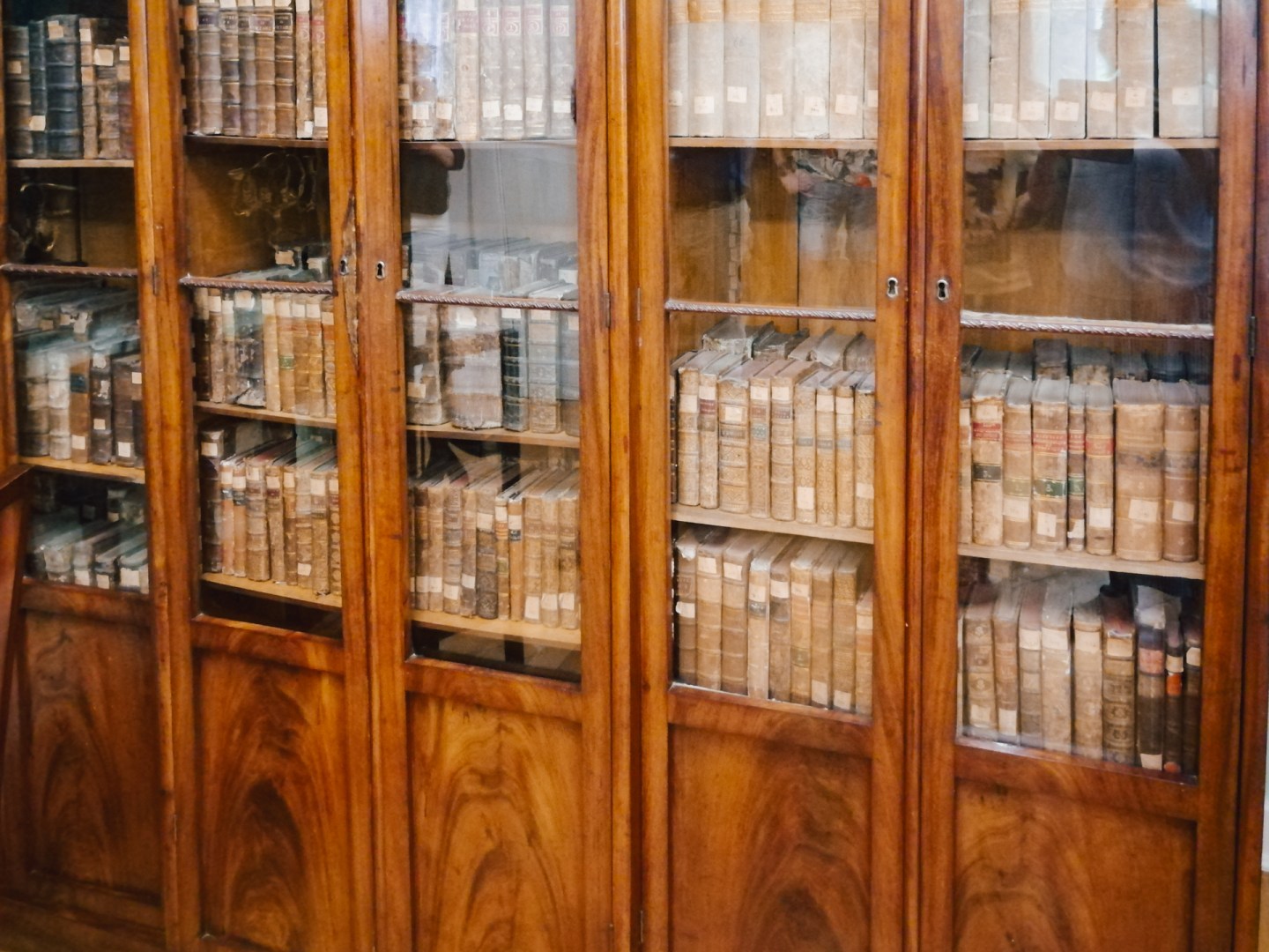 Glass-fronted bookshelves filled with old volumes in the manor’s library.