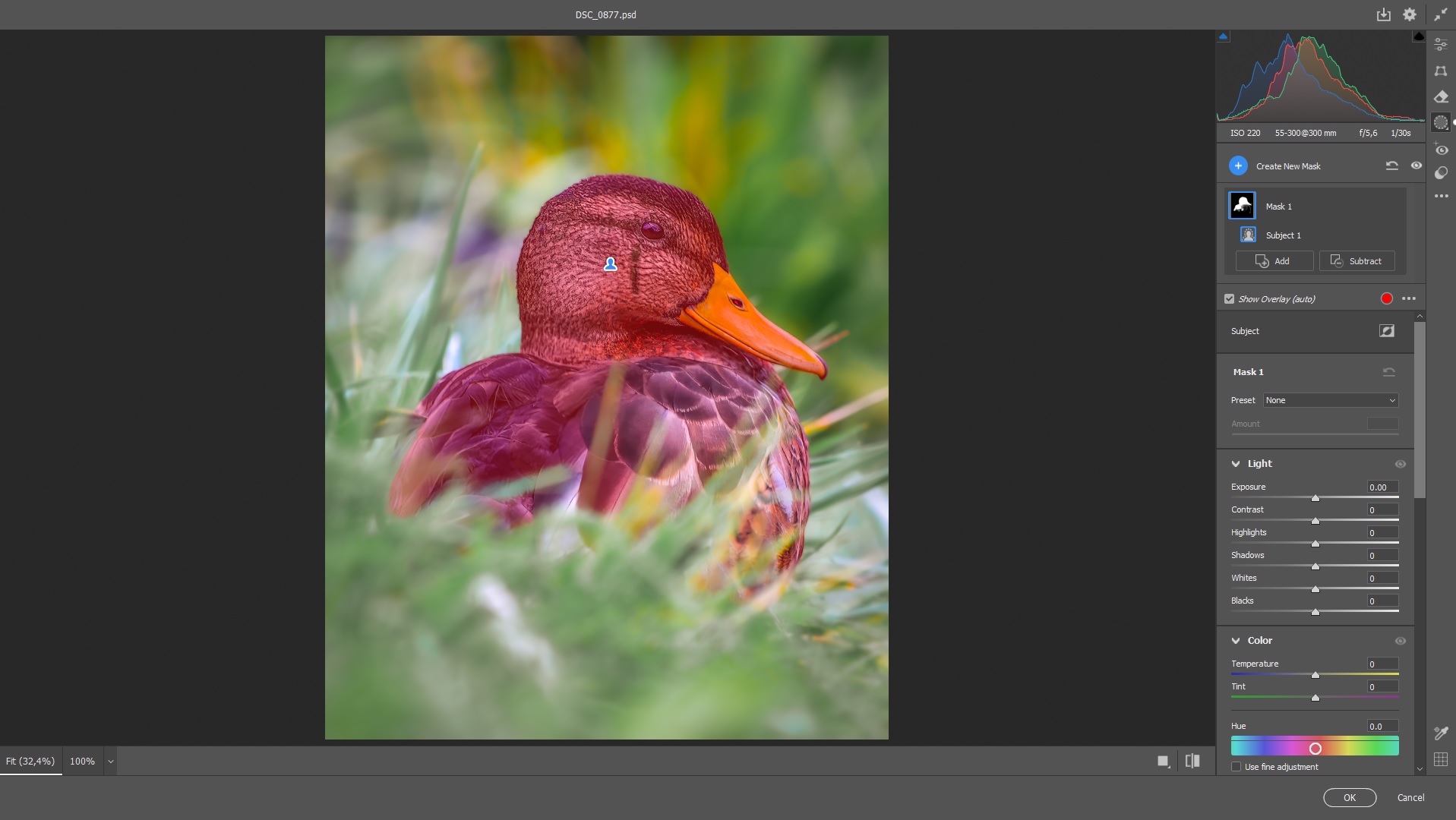 Masking tools in Camera Raw used to selectively edit a duck photo