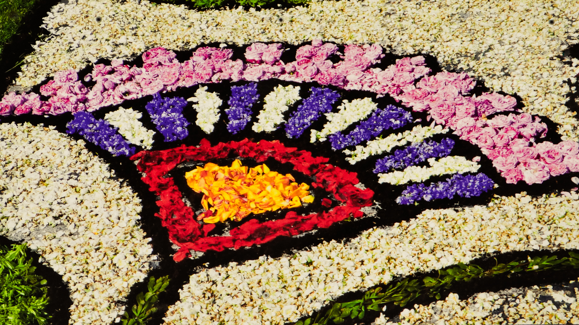 Colorful fan-shaped flower carpet design in Spycimierz
