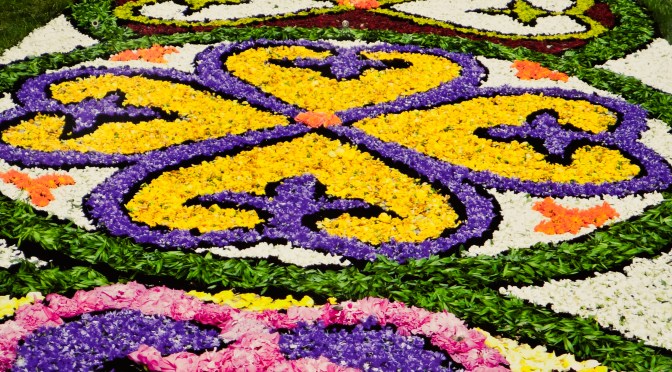 Yellow and purple heart-shaped flower carpet in Spycimierz, 2024