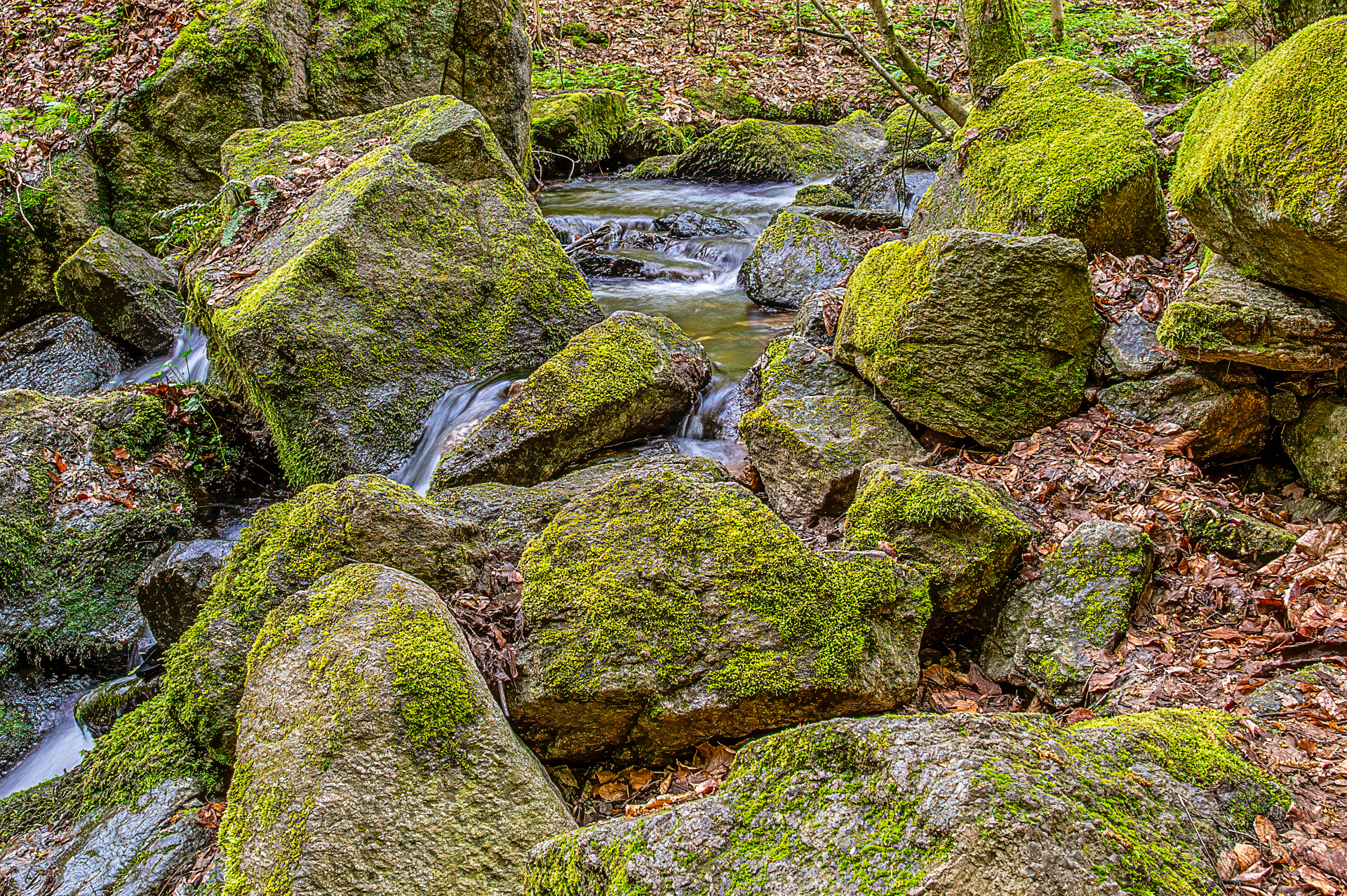 Moss-covered stones in a forest stream in Lower Silesia, south-western Poland, with soft flowing water captured using a slow shutter speed