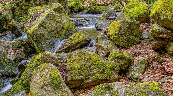 Moss-covered stones in a forest stream in Lower Silesia, south-western Poland, with soft flowing water captured using a slow shutter speed