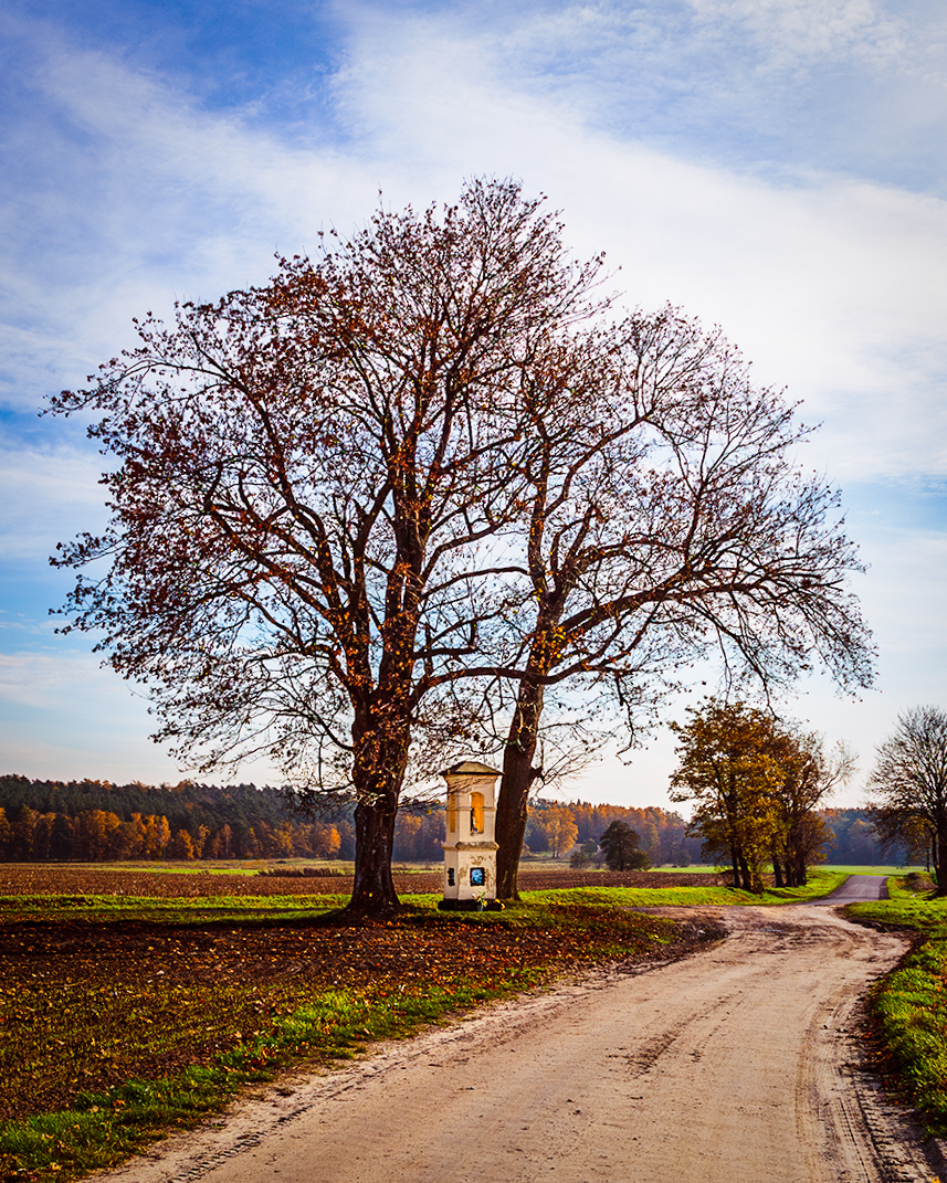 A tall tree with sparse orange leaves stands beside a roadside chapel during autumn in rural Poland, with soft afternoon light and fallen leaves