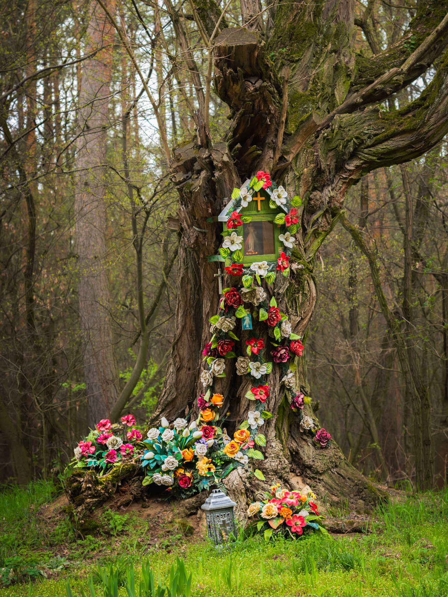 Roadside shrine in an old forest tree in Poland, decorated with colorful flowers and a lantern