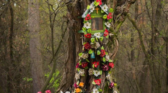 Roadside shrine in an old forest tree in Poland, decorated with colorful flowers and a lantern