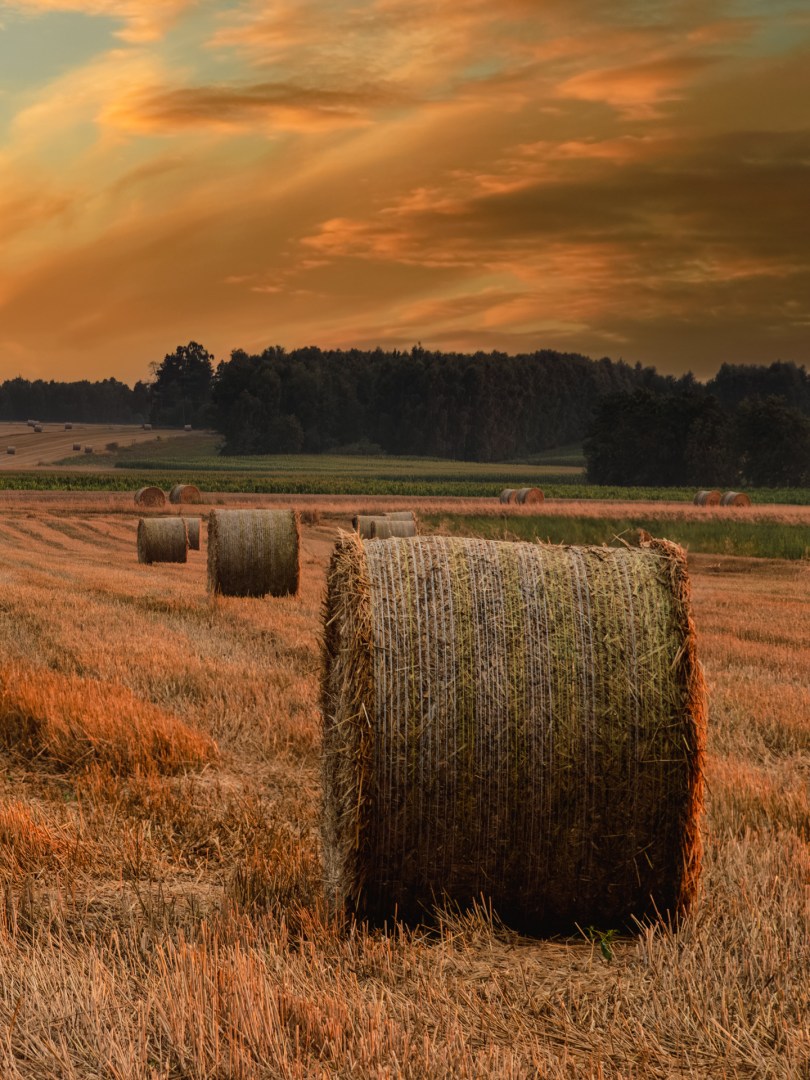 Golden hay bales at sunset in a rural Polish field, photographed in July, with post-processing in Camera Raw and Photoshop