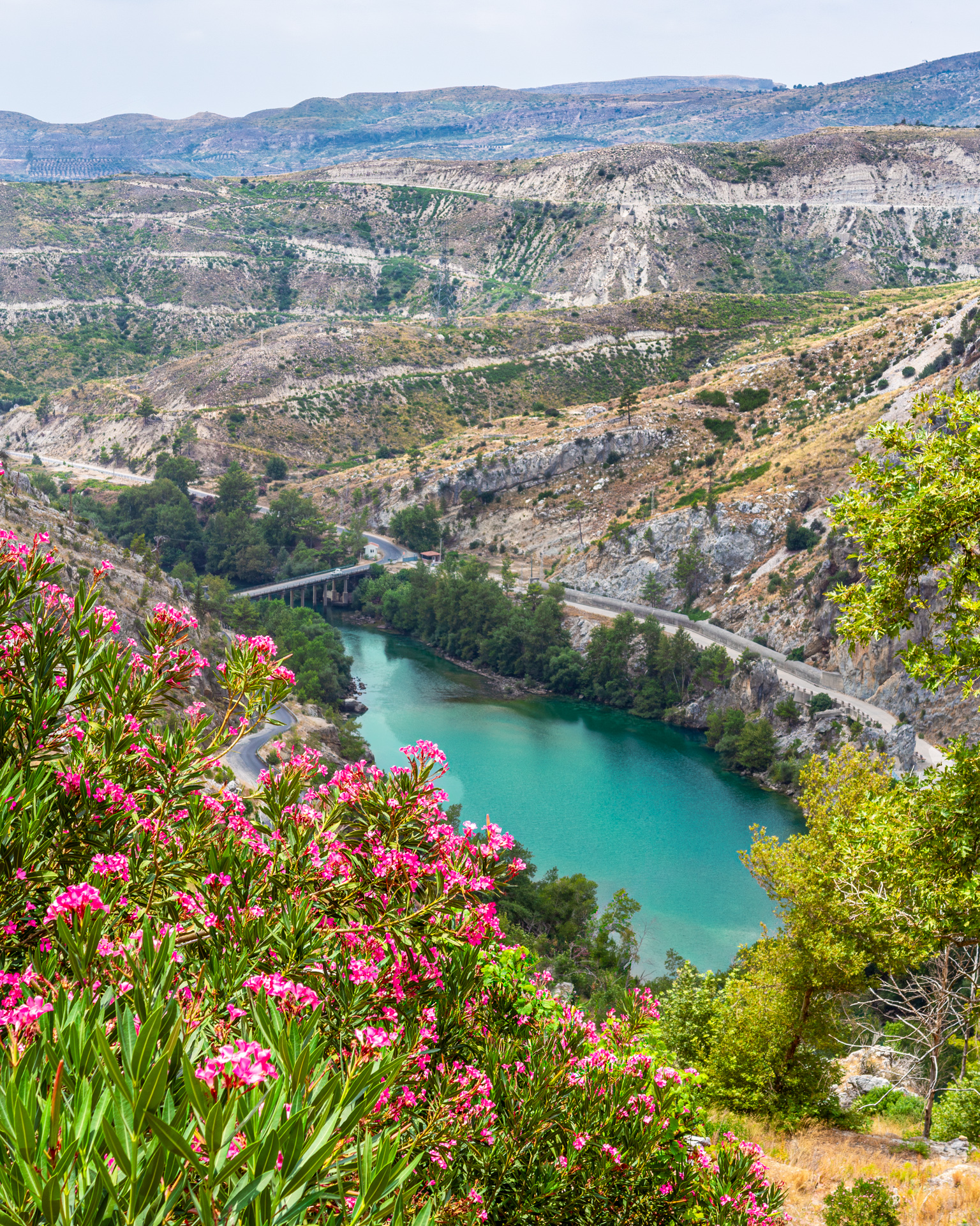 Turquoise river winding through a dry canyon with pink oleanders in the foreground and layered mountains in the distance