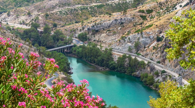 Turquoise river winding through a dry canyon with pink oleanders in the foreground and layered mountains in the distance