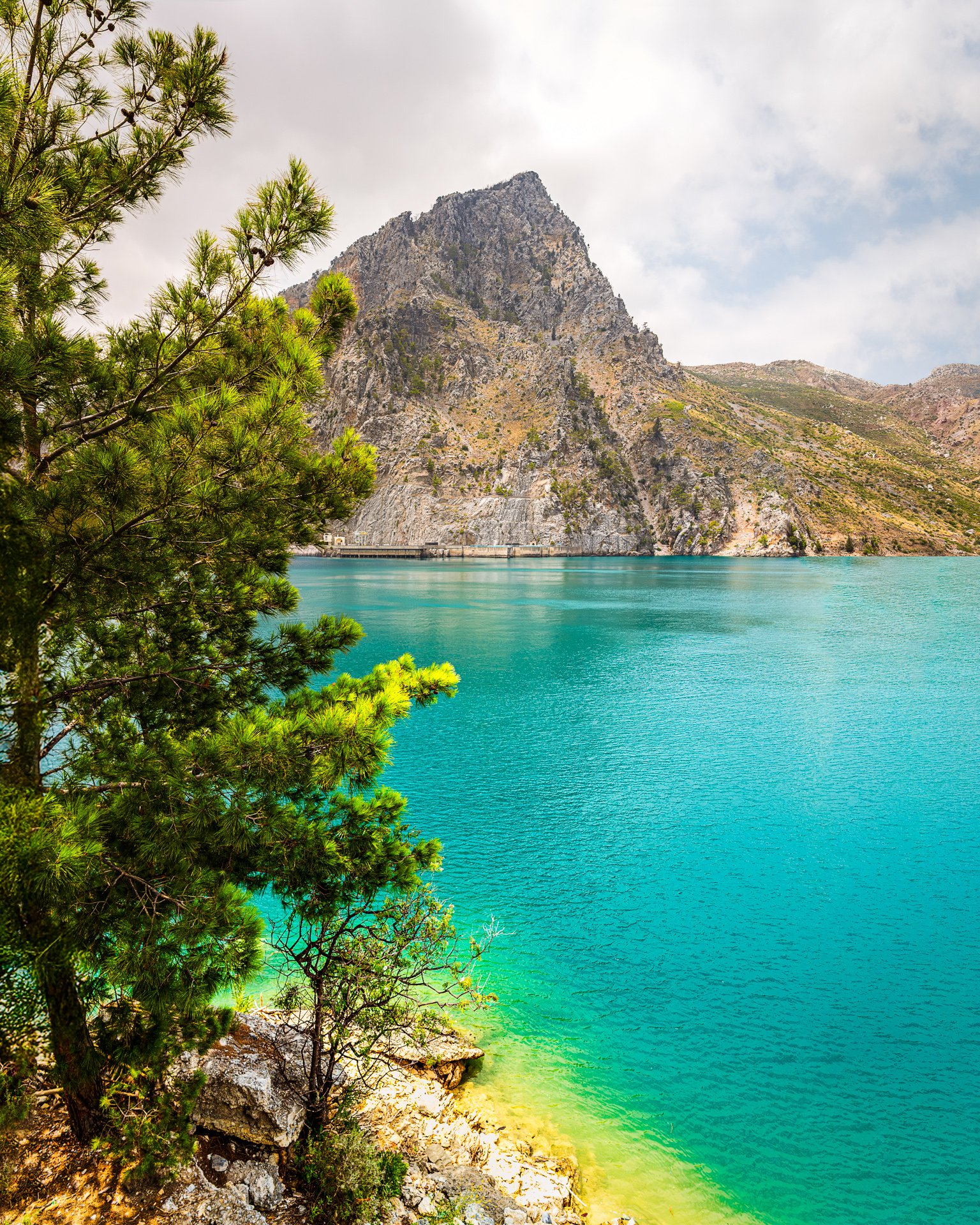 Mountain landscape with turquoise lake and pine trees in the foreground