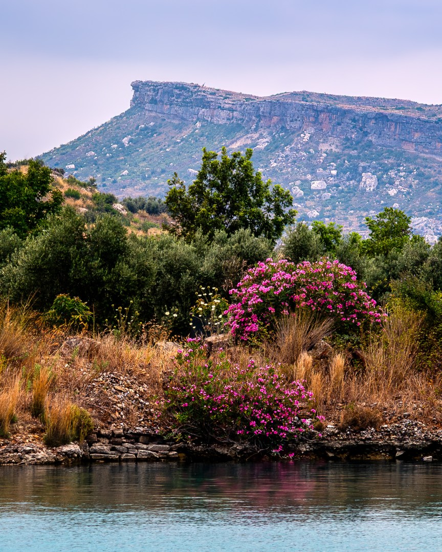 Pink wildflowers leading toward a limestone ridge by a turquoise pool in a Mediterranean-style summer landscape