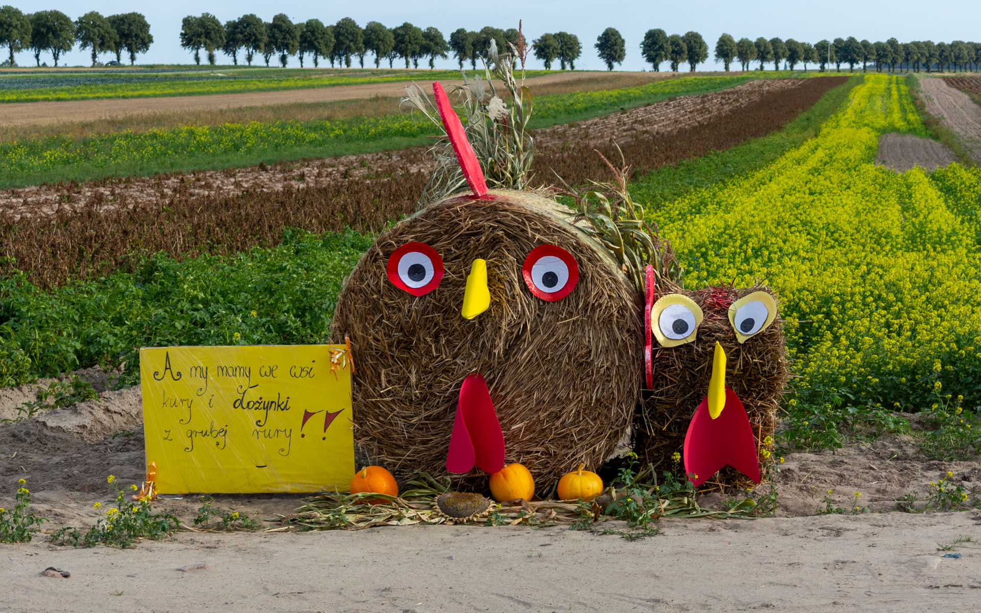 Hay bale rooster and chicks with colorful details