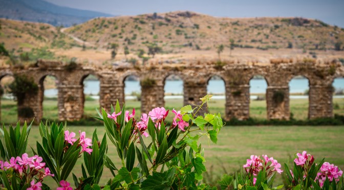 Ancient Roman aqueduct framed by pink oleander flowers with hills in the background