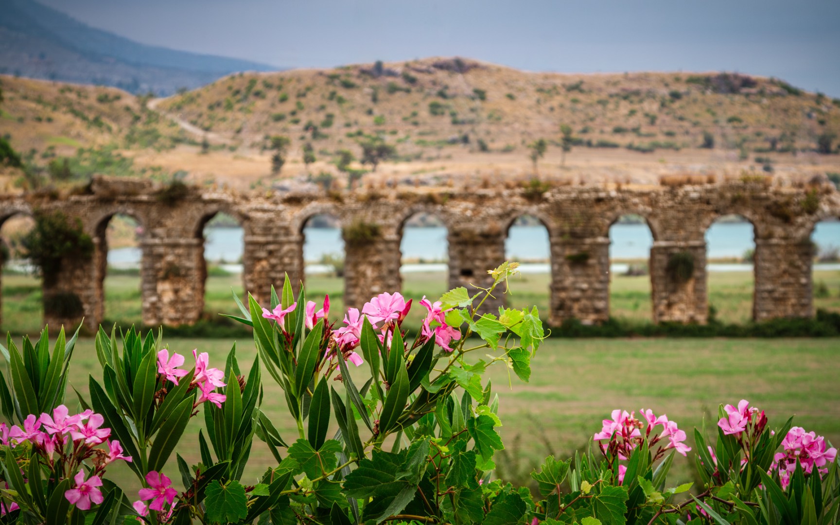 Ancient Roman aqueduct framed by pink oleander flowers with hills in the background