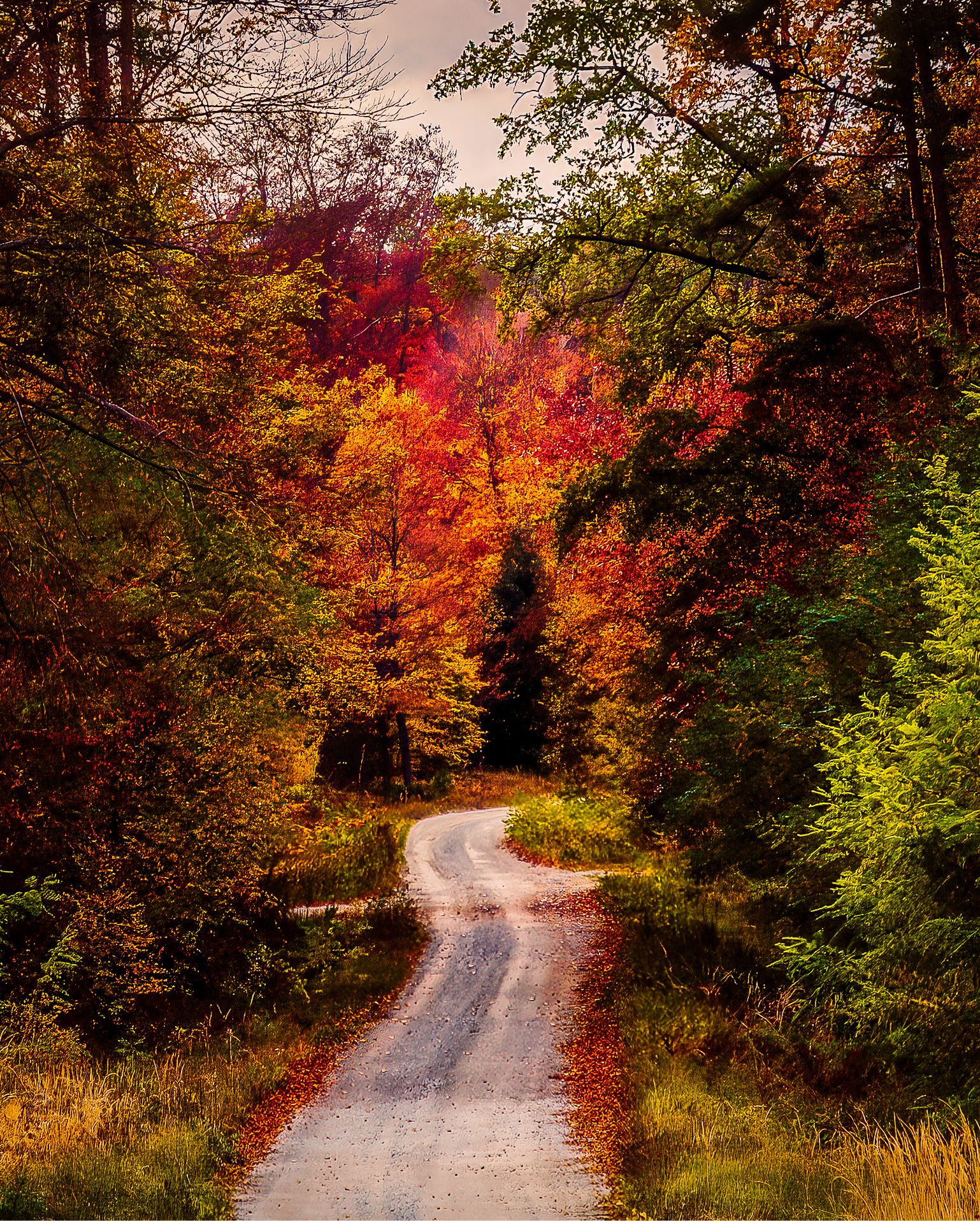 A winding forest path surrounded by colorful autumn trees in warm red, orange, and yellow tones, edited in Photoshop using adjustment layers