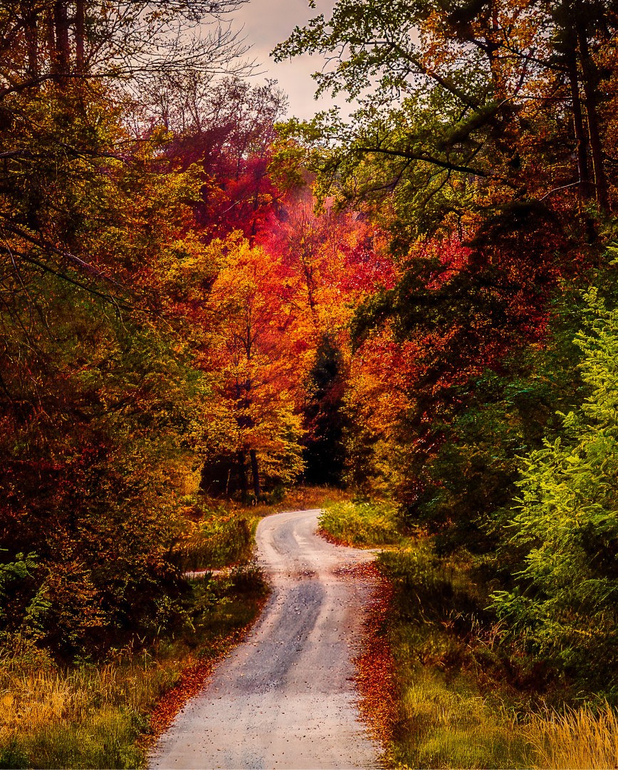 A winding forest path surrounded by colorful autumn trees in warm red, orange, and yellow tones, edited in Photoshop using adjustment layers