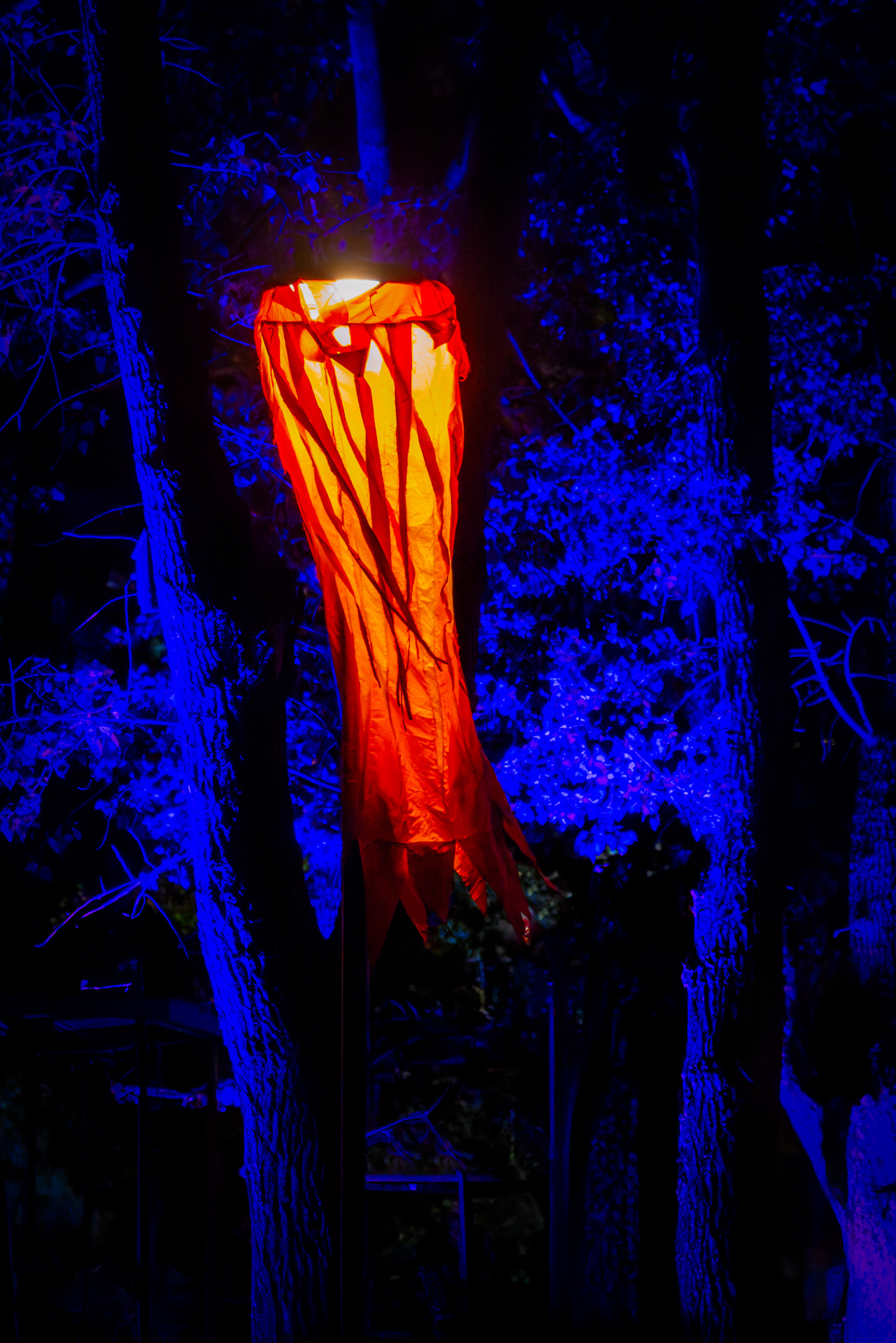 Bright orange lantern suspended among trees at the Light Move Festival 2025 in Łódź