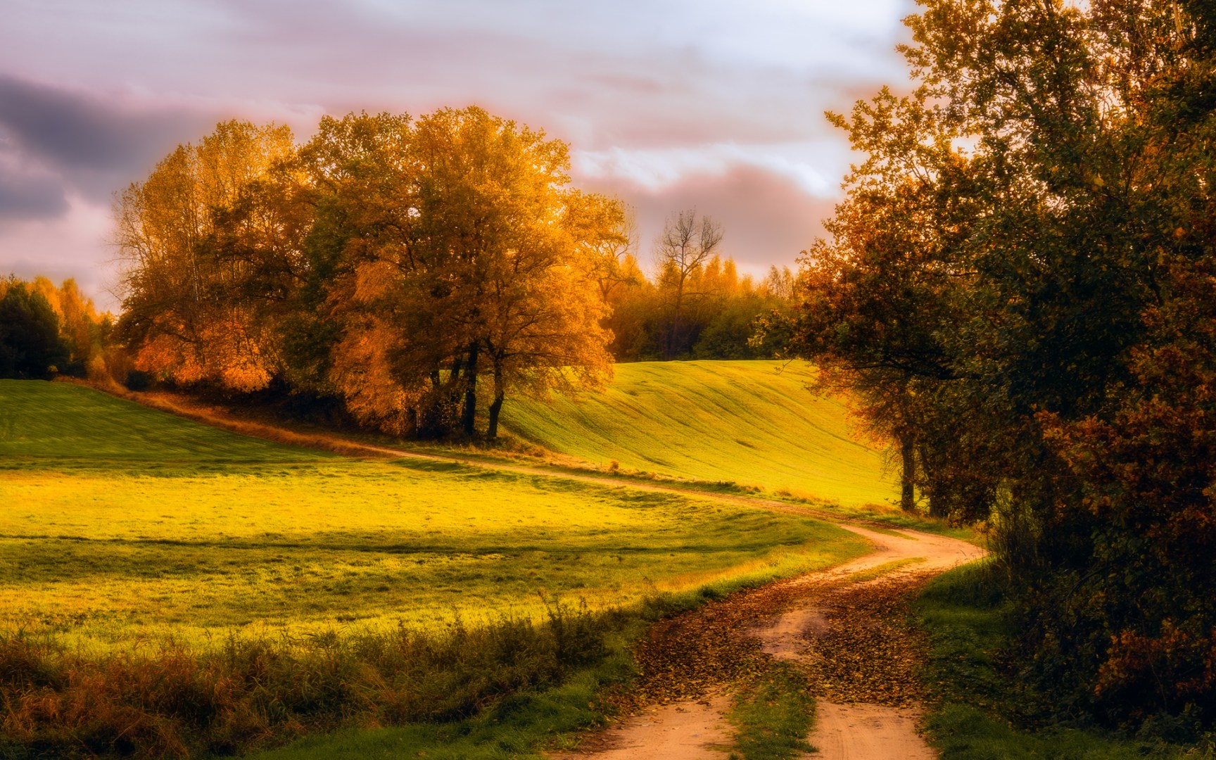 Golden autumn landscape photographed during an evening bike ride — winding dirt path leading through a sunlit meadow with warm golden-hour light and trees in fall colors