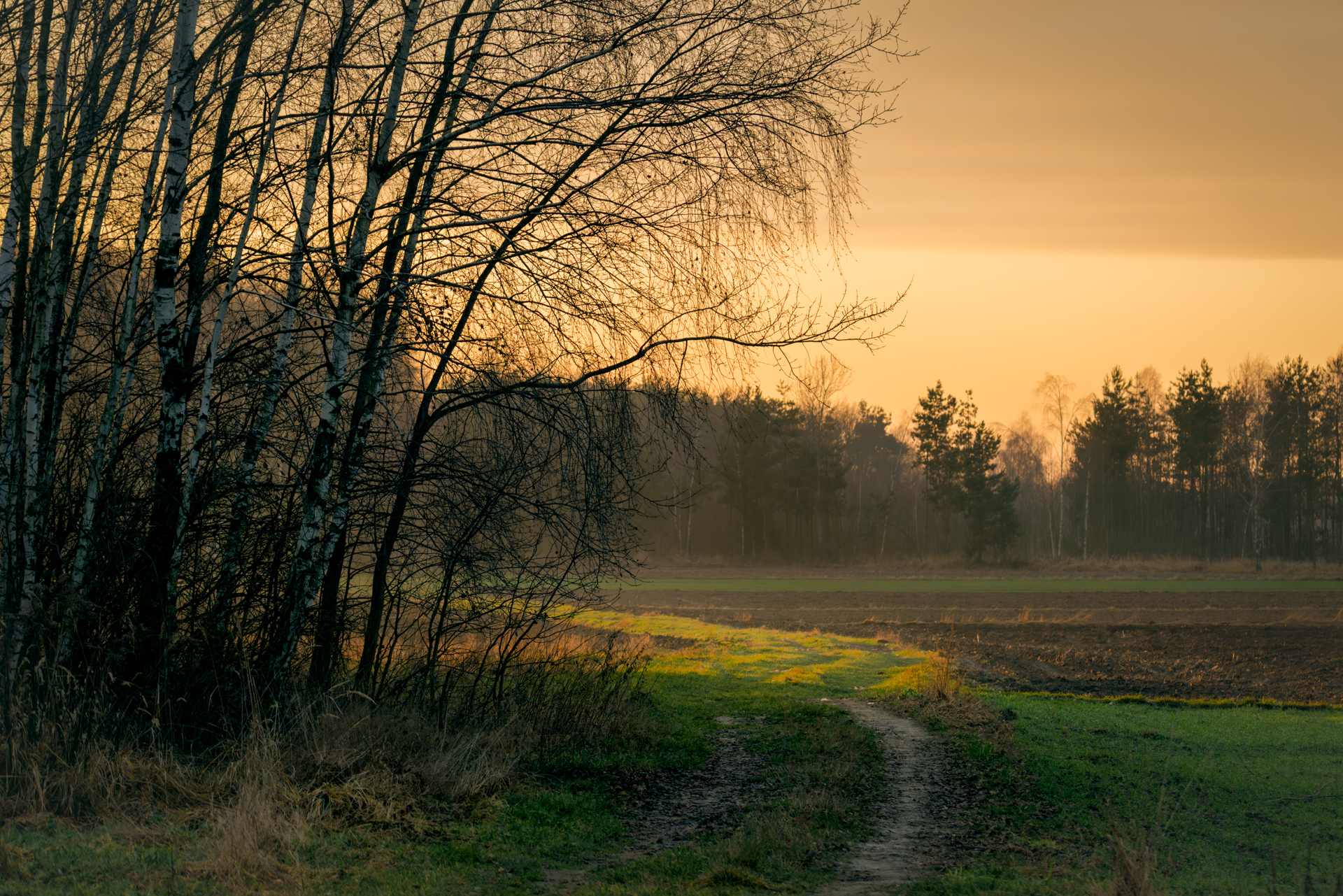 Late autumn path lit by golden sunlight breaking below thick clouds at sunset