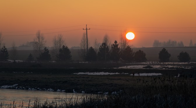 A Pause in the Cold Light