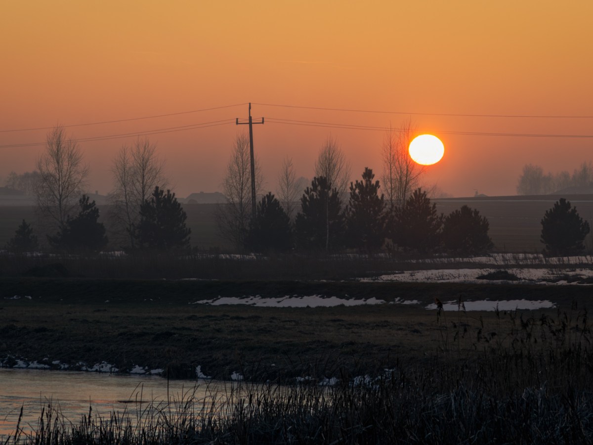 A Pause in the Cold Light
