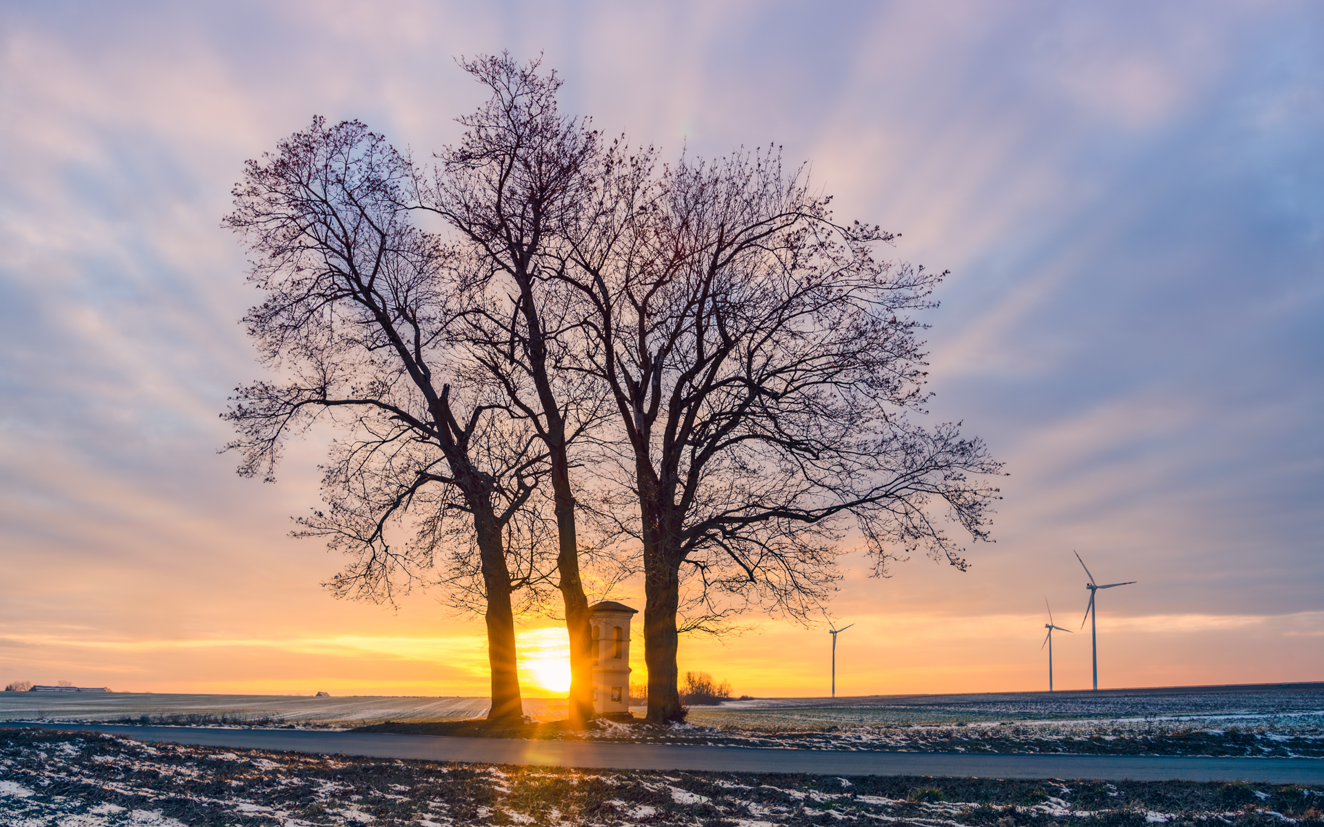 Winter sunrise behind a roadside tree and small shrine, with pastel sky and wind turbines in the background