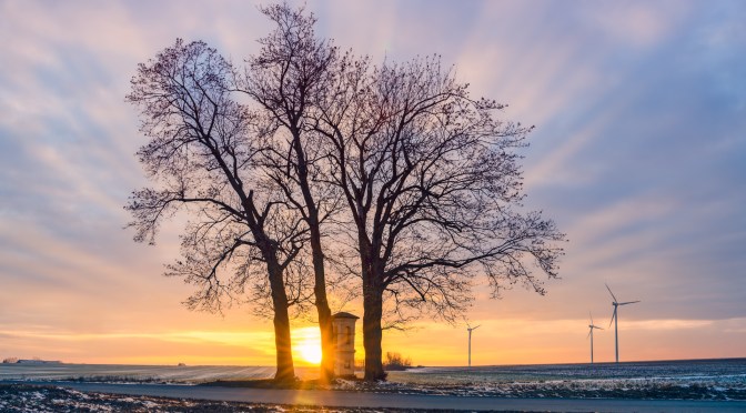 A Familiar Tree at Sunrise — A Landscape That Never Stays the Same