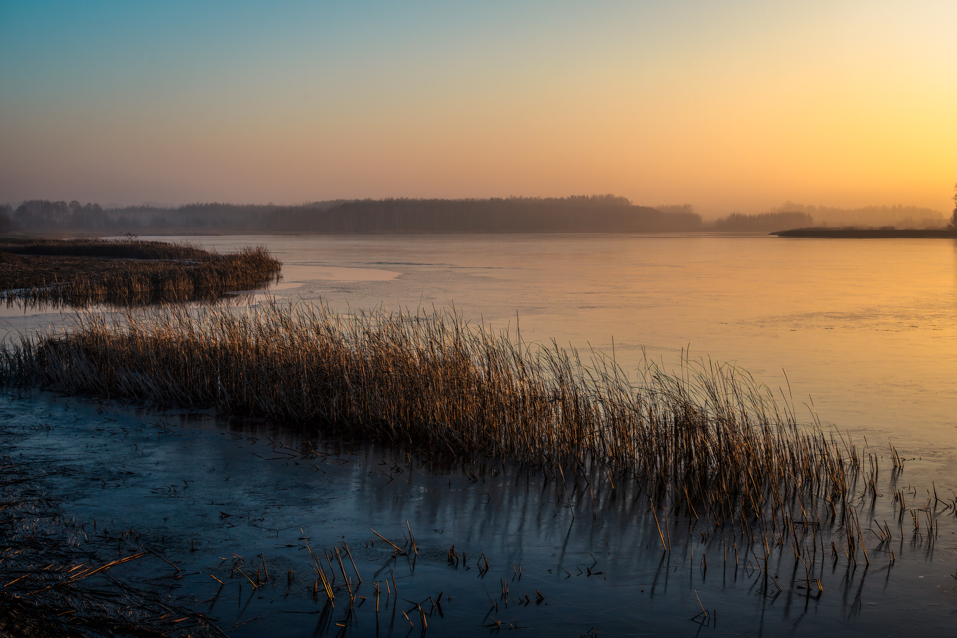 Foggy winter sunset over a partially frozen lake with reeds along the shoreline, soft evening light and distant trees fading into mist
