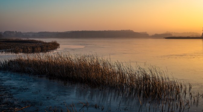 Foggy winter sunset over a partially frozen lake with reeds along the shoreline, soft evening light and distant trees fading into mist