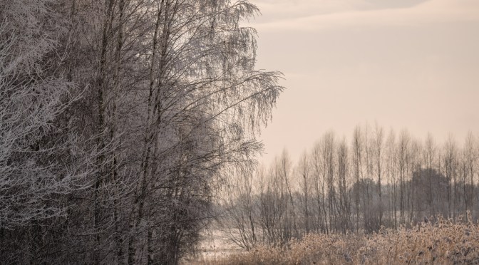 When the Air Turns to Crystals