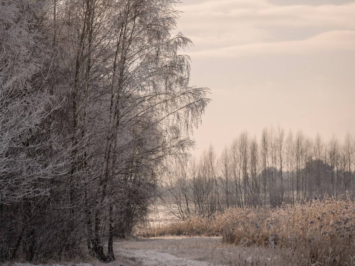 When the Air Turns to Crystals