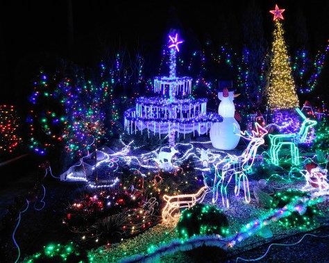 Illuminated fountain surrounded by glowing reindeer figures at Polish Las Vegas in Sieradz