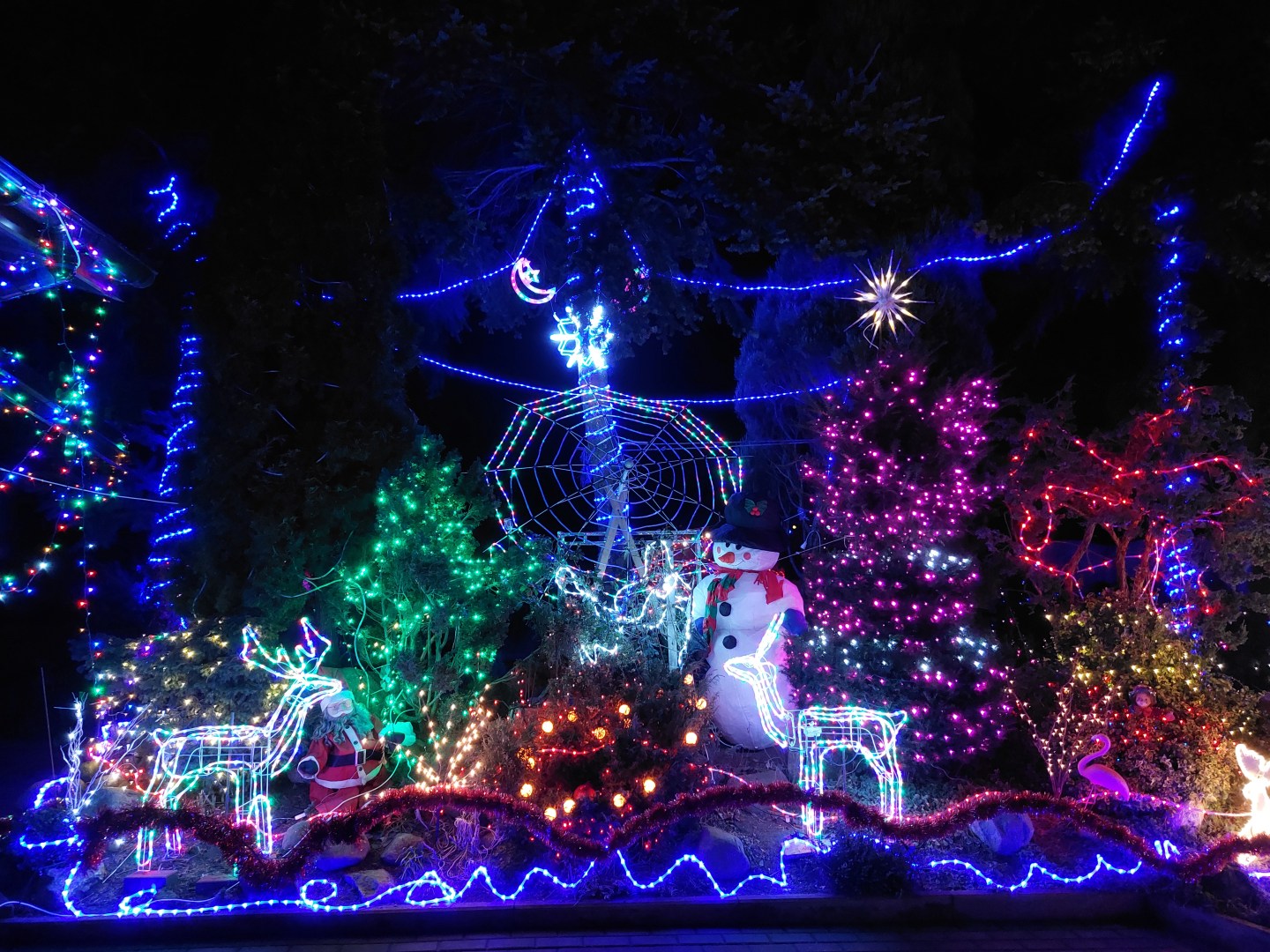 Decorated trees and an illuminated spiderweb installation at Polish Las Vegas