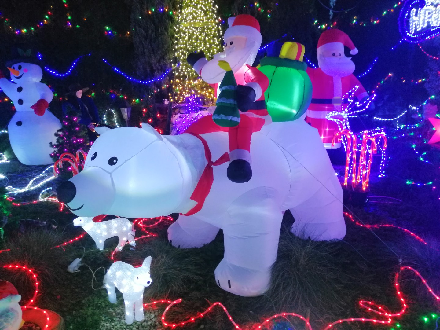 Santa Claus riding a polar bear light installation at Polish Las Vegas