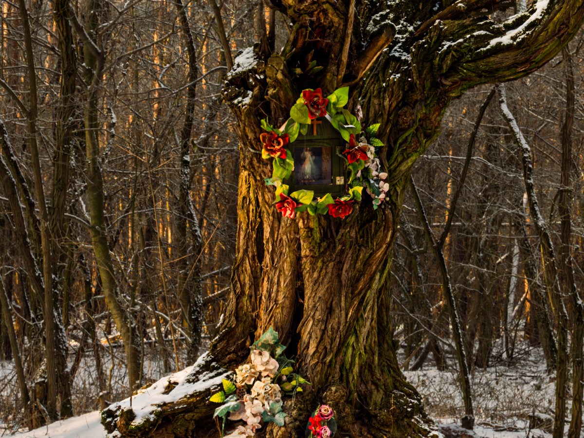 When the Forest Falls Silent — A Winter Roadside Shrine in Poland
