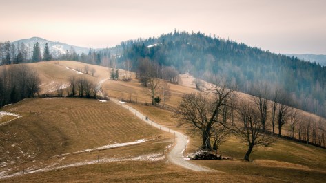 Gravel road on the Cieńków Loop cycling trail in the Silesian Beskids near Wisła, Poland