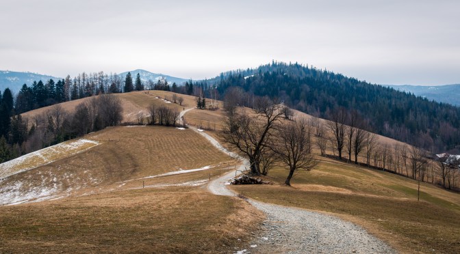 Cienkow Loop: A Short but Scenic Gravel Ride in the Silesian Beskids