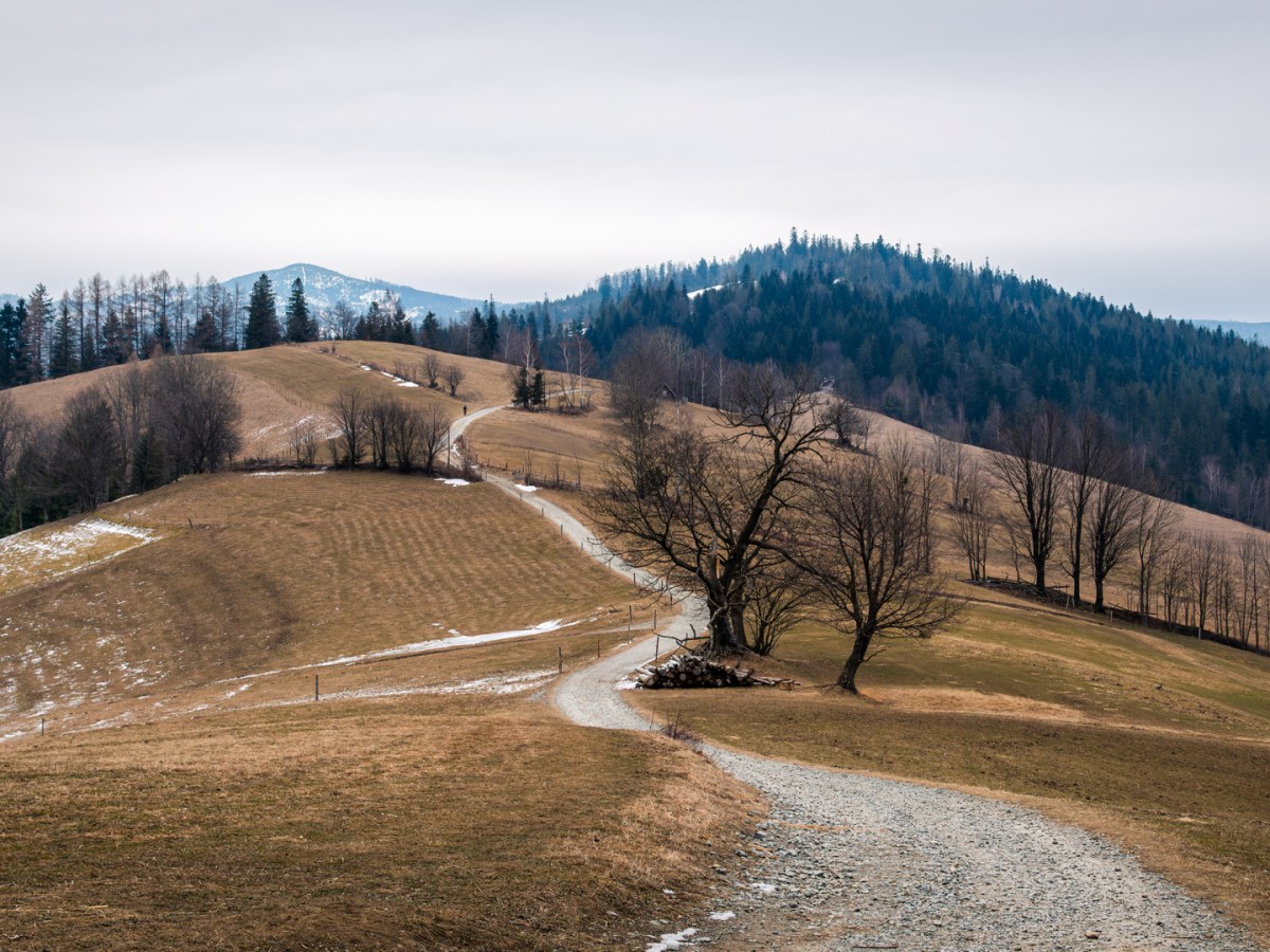 Cienkow Loop: A Short but Scenic Gravel Ride in the Silesian Beskids