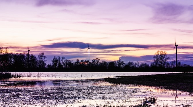 Early spring lake at blue hour with flooded fields, reeds, and soft sunset reflections